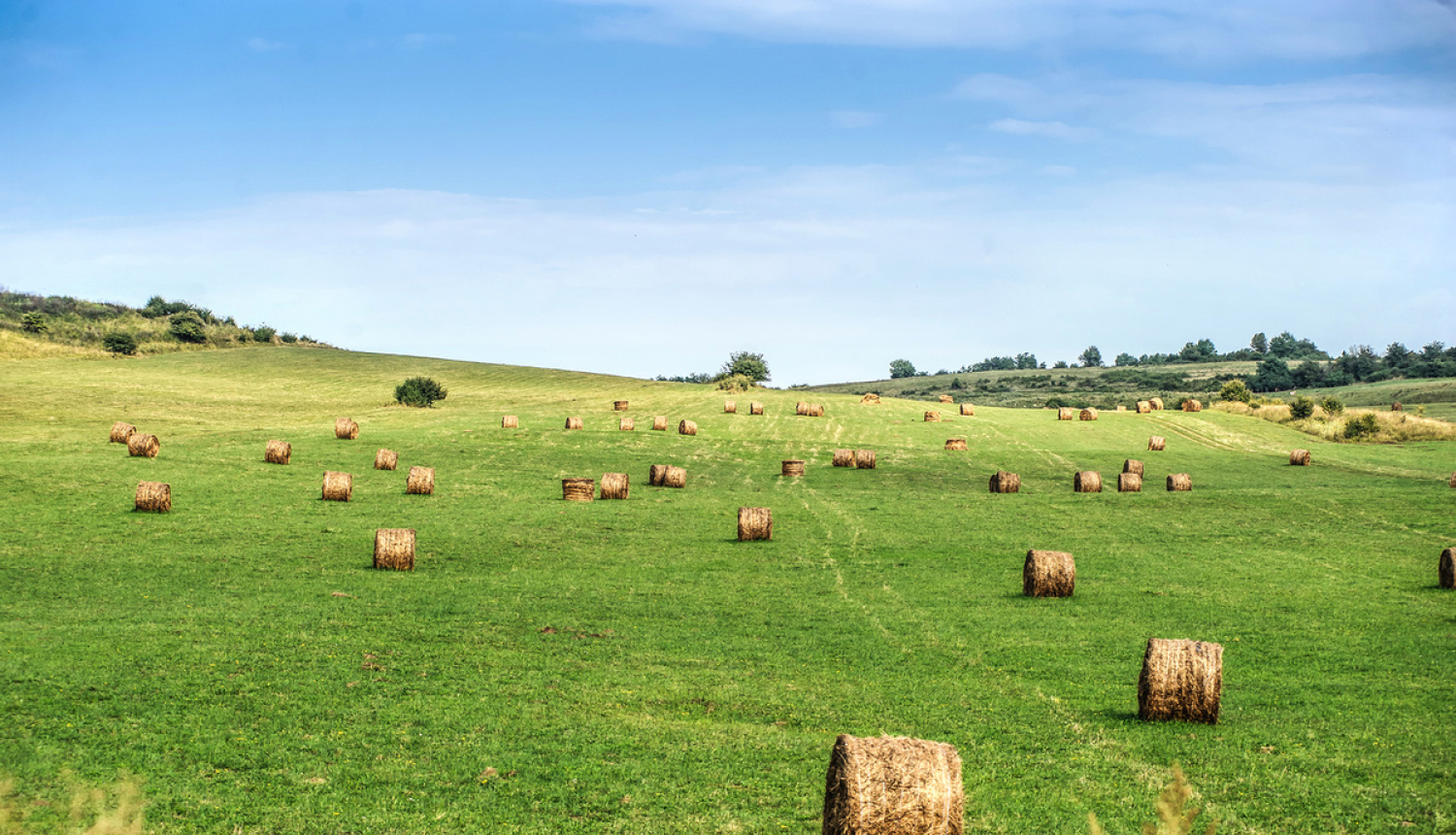 Krīzes vadības padomes sēdē lems par situāciju lauksaimniecības sektorā