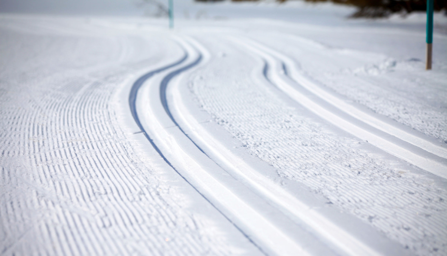 6. decembrī notiks šā gada pēdējā Latvijas Nacionālās sporta padomes sēde