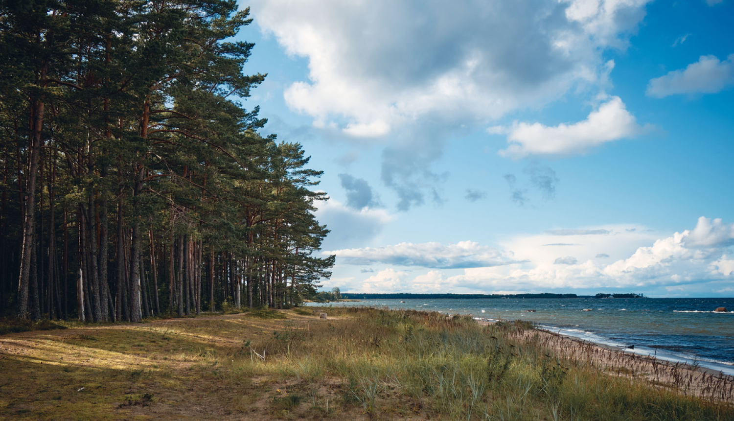 No 15. maija atļauts veikt starptautiskos pasažieru pārvadājumus starp Baltijas valstīm