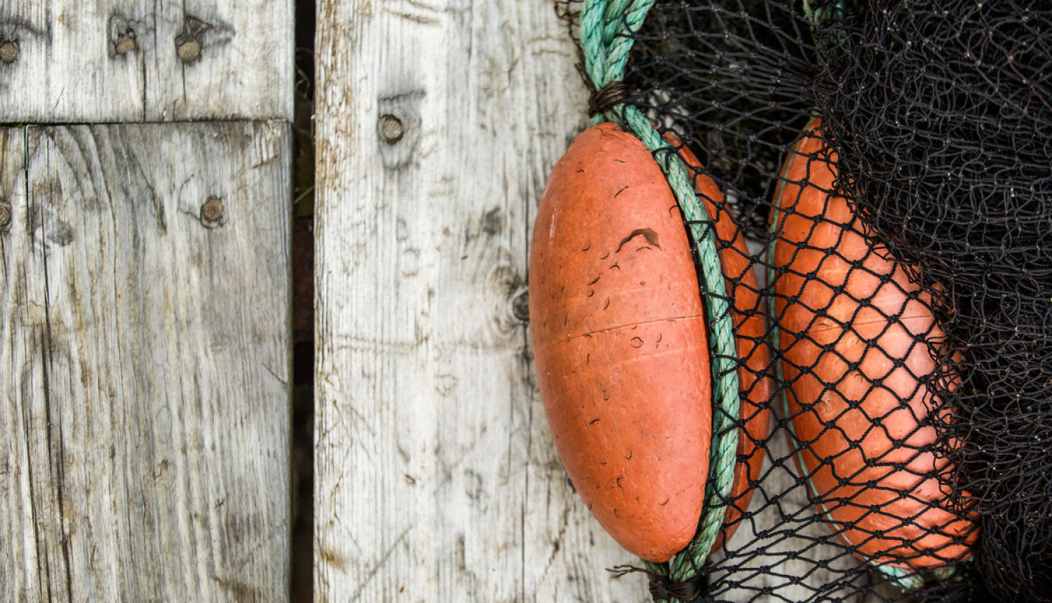 Zvejas atļaujas (licences) zvejniekiem izsniegs pašvaldības
