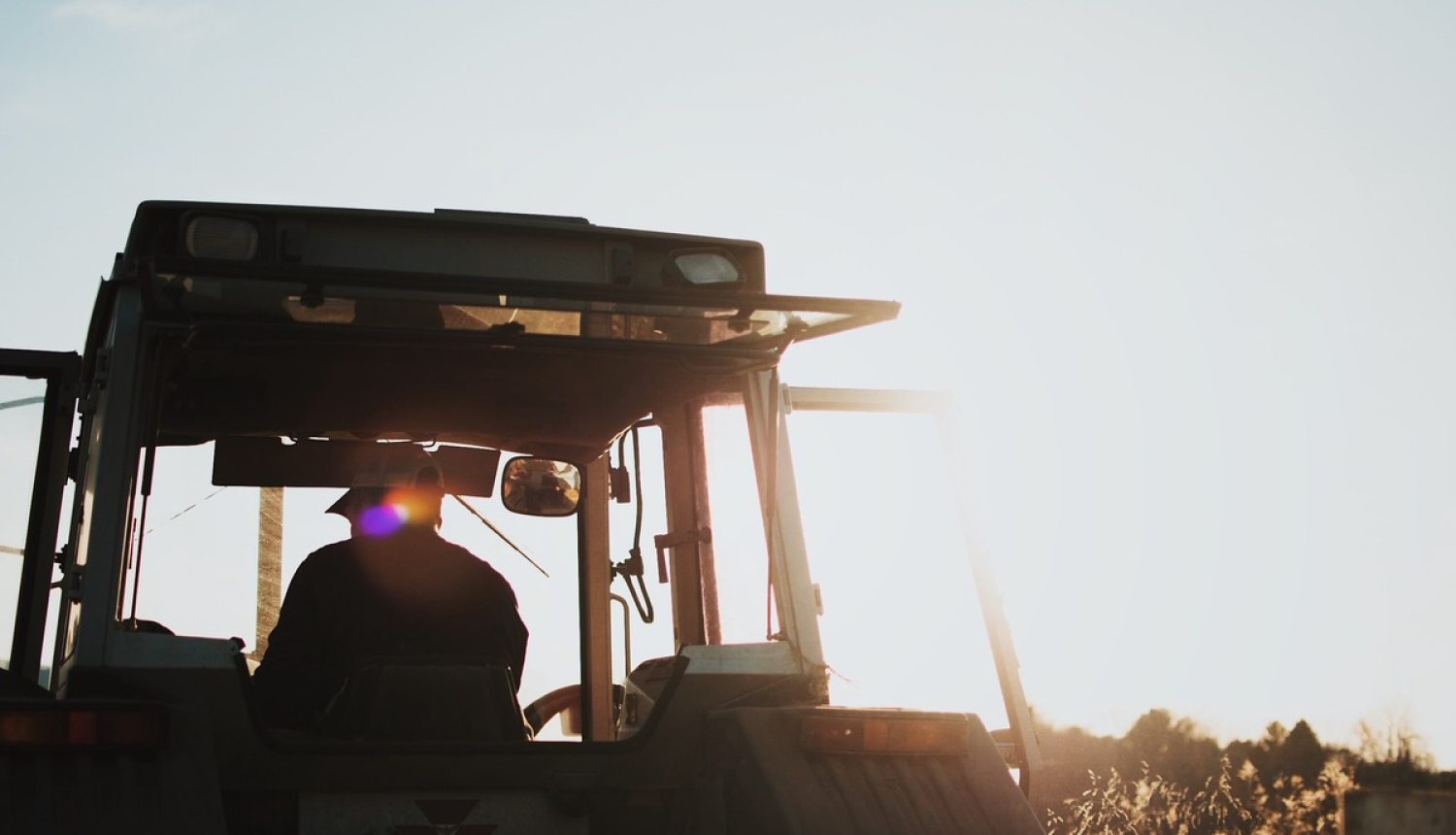 Paplašināts pretendentu loks un atbalsta summa konsultāciju pakalpojuma izmantošanai lauksaimniecībā un mežsaimniecībā