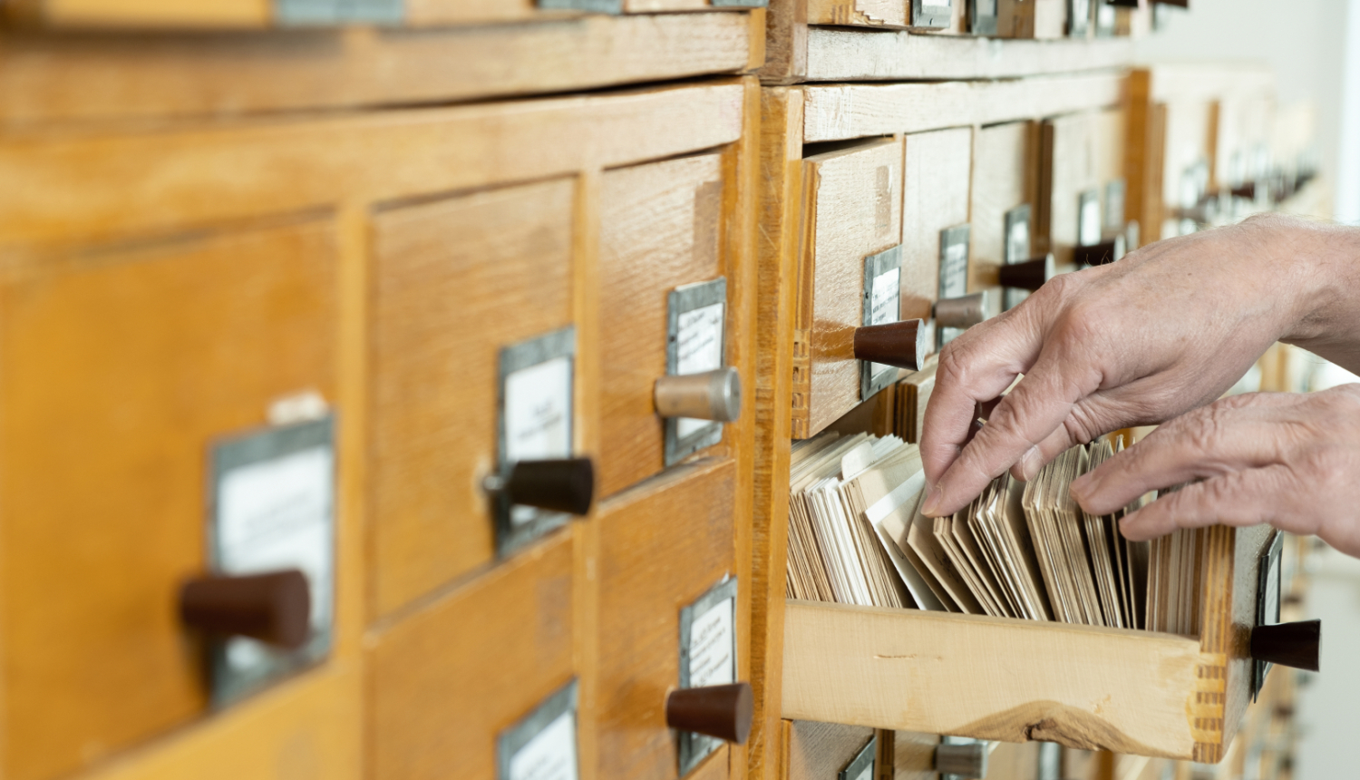 Cilvēks pāršķirsta arhīva kartītes vienā no arhīva skapja atvilktnēm