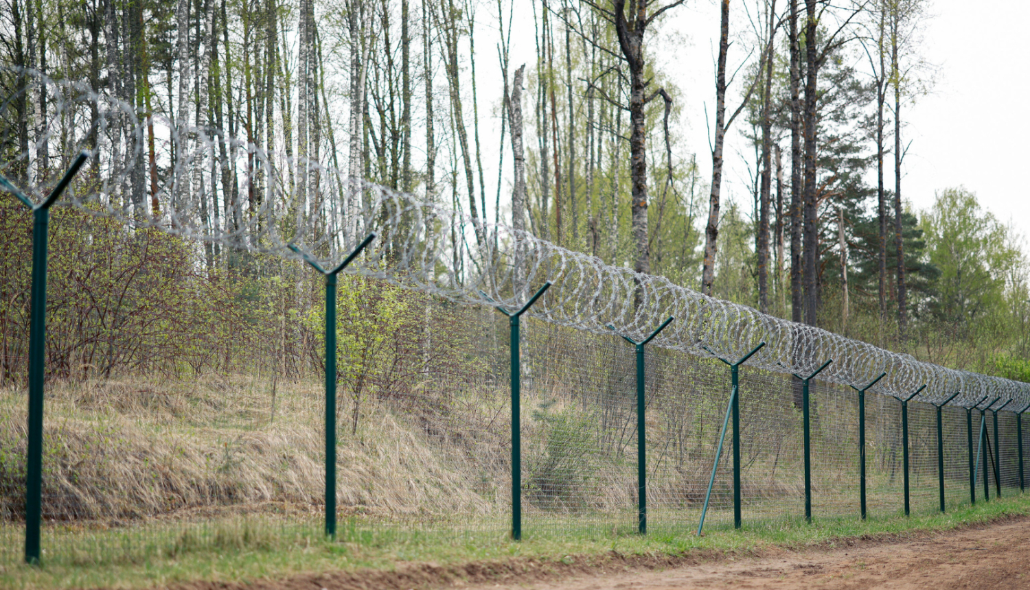 Izbūvētais žogs uz Latvijas austrumu robežas