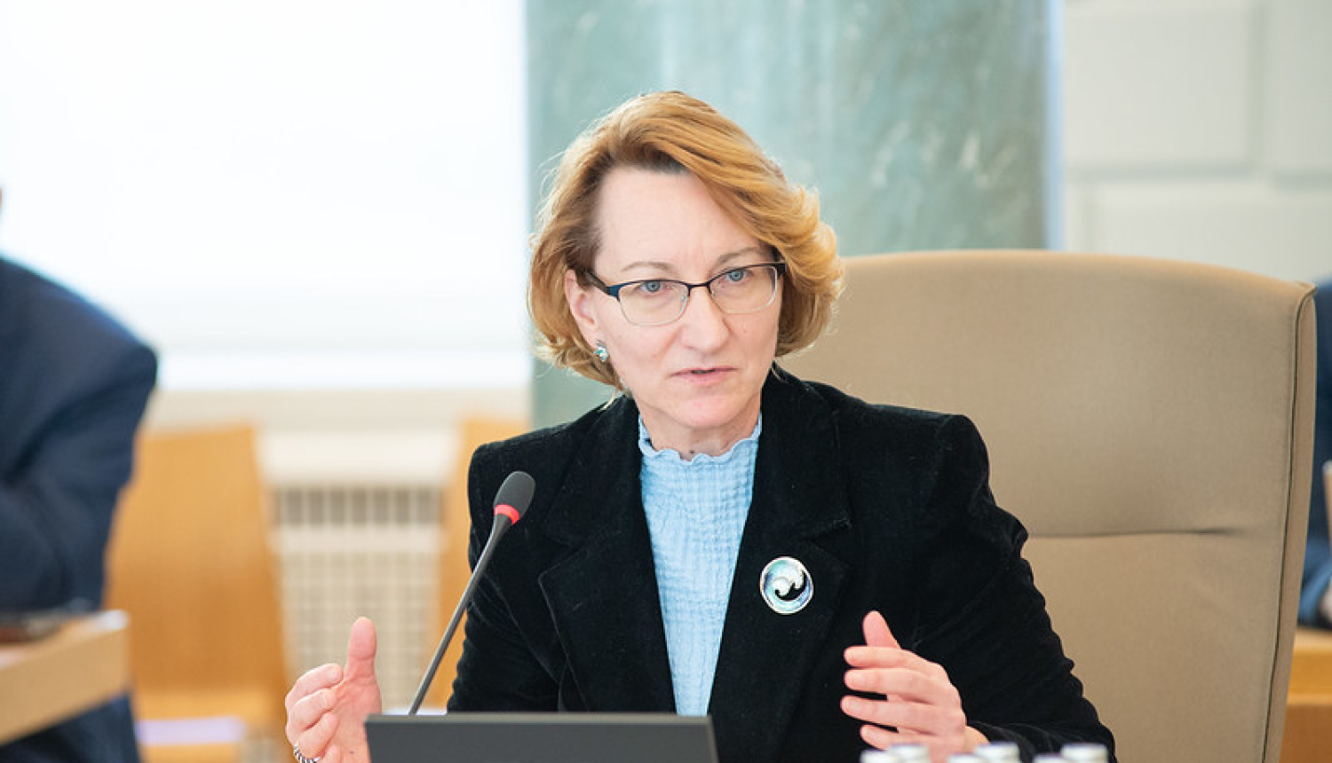 IZM ministres portrets - Dace Melbārde