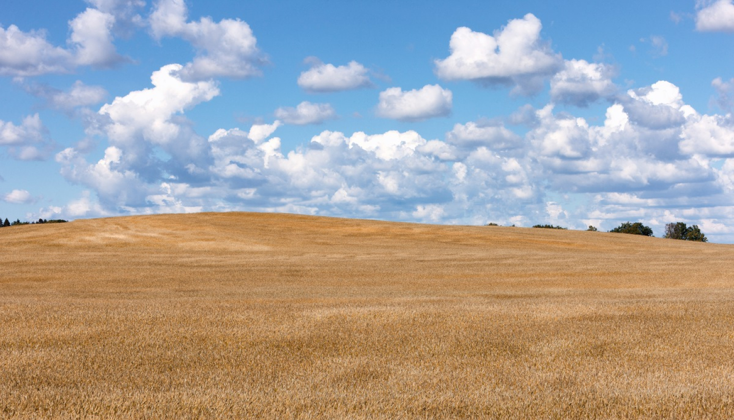 Atbalsta summa lauksaimniecībā izmantojamās zemes iegādei palielināta par 20 miljoniem eiro