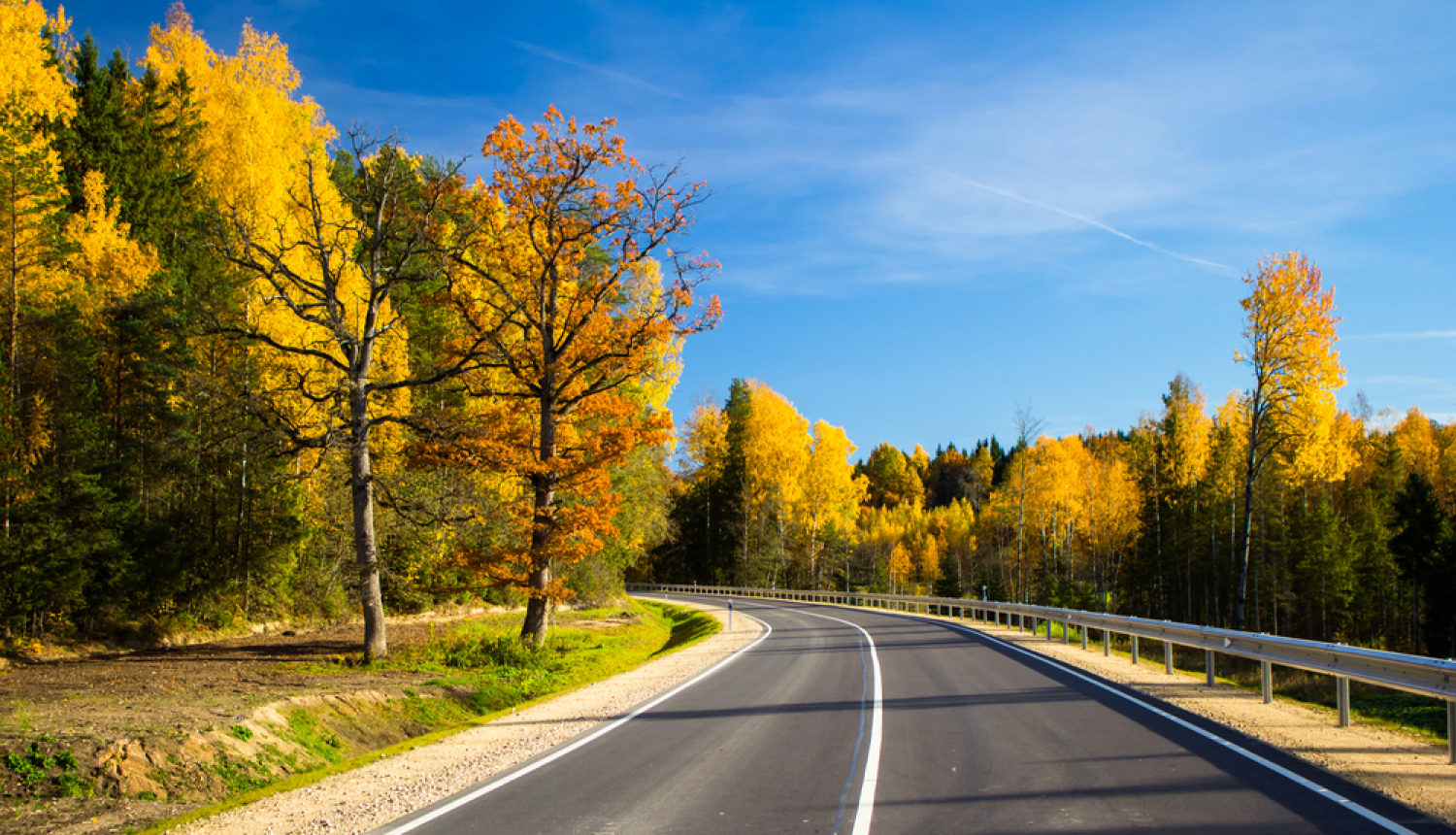 autoceļš, fonā Latvijas daba, koki
