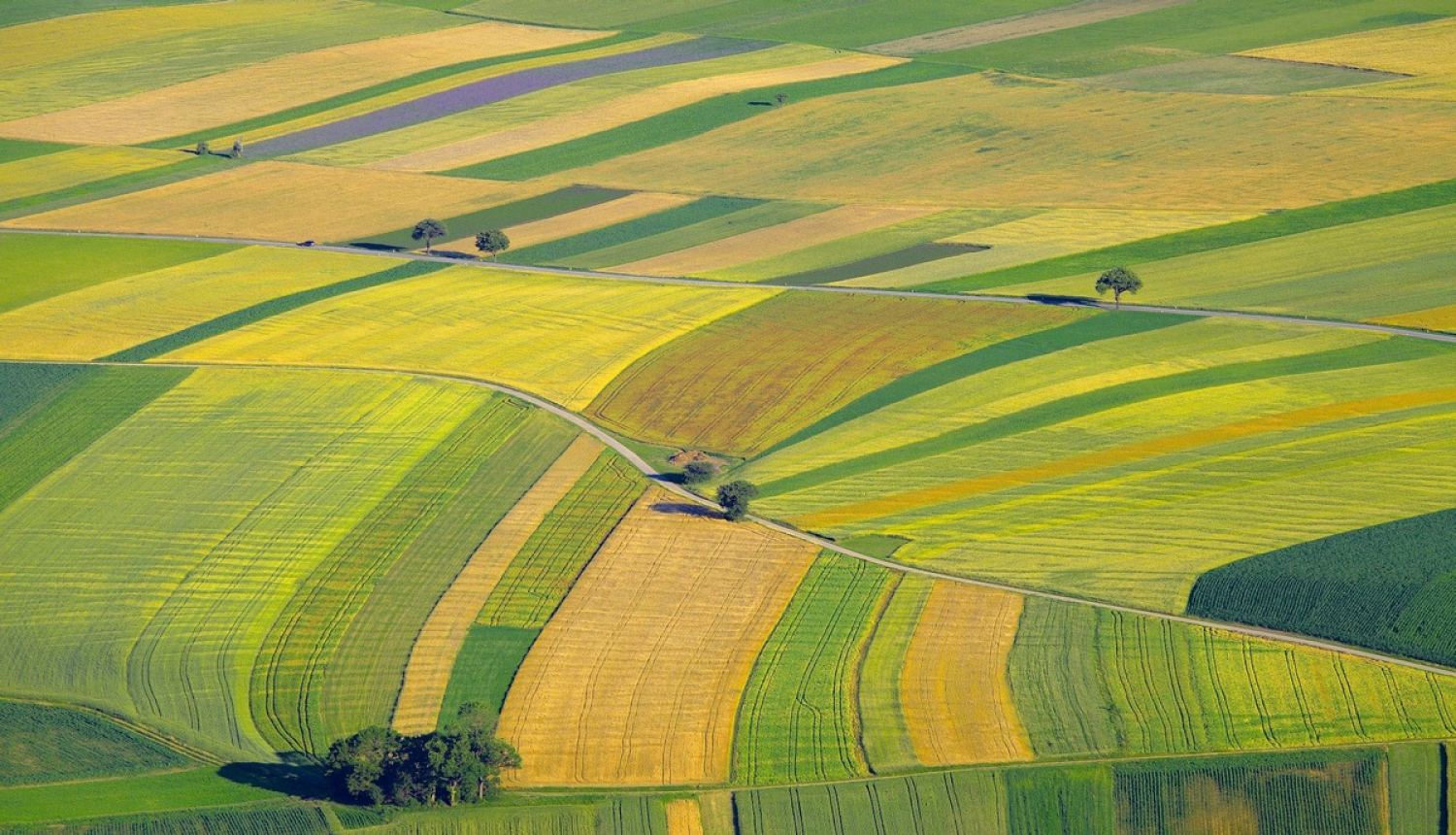 Pieņemta kārtība lauksaimniecības zemes nomai ar izpirkuma tiesībām