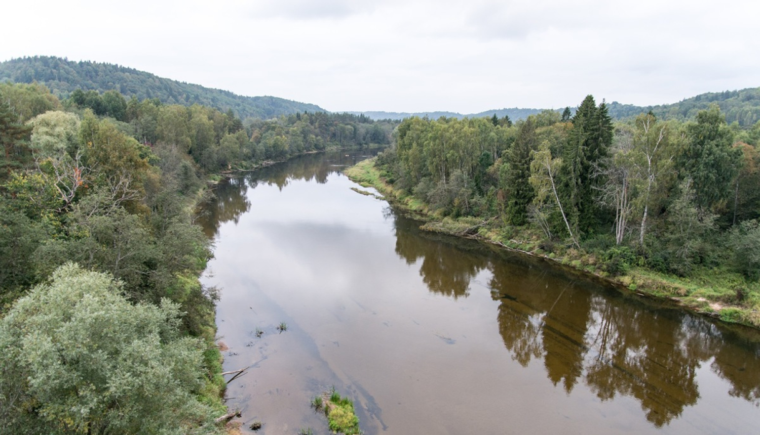 Valsts nodevu par mežsaimnieciskām darbībām varēs maksāt avansā