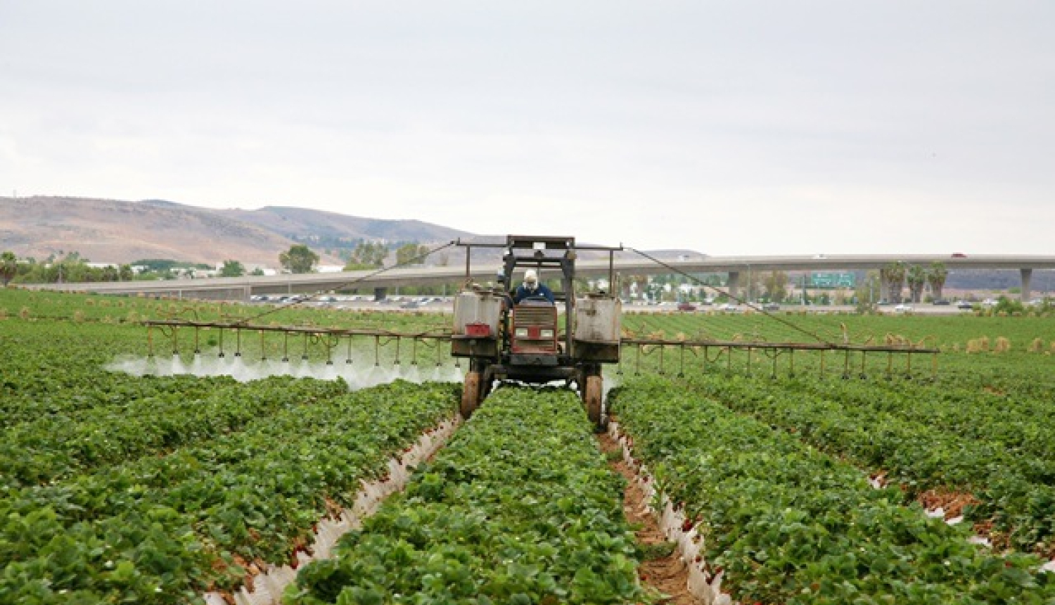Iecerēts samazināt traktortehnikas vadītāju kategoriju skaitu
