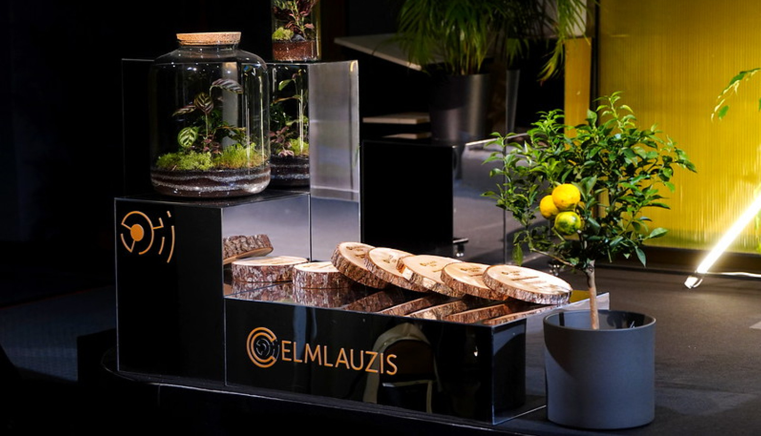 Foto no konferences. Redzamas koka balvas un uzraksts "Celmlauzis"