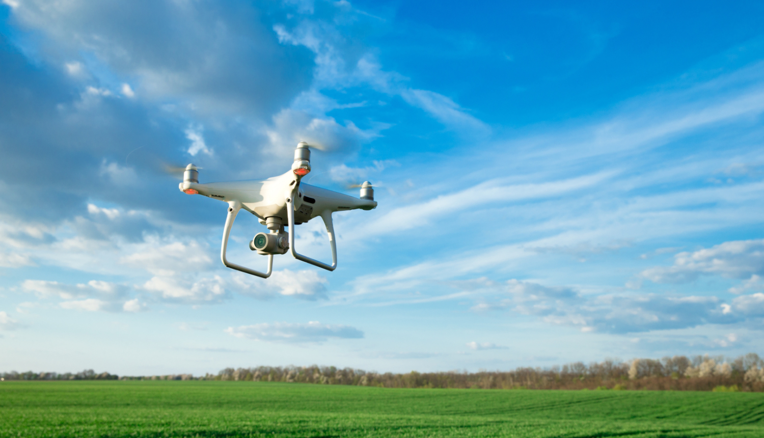 Balts drons uz zilu debesu un zaļas zāles fona