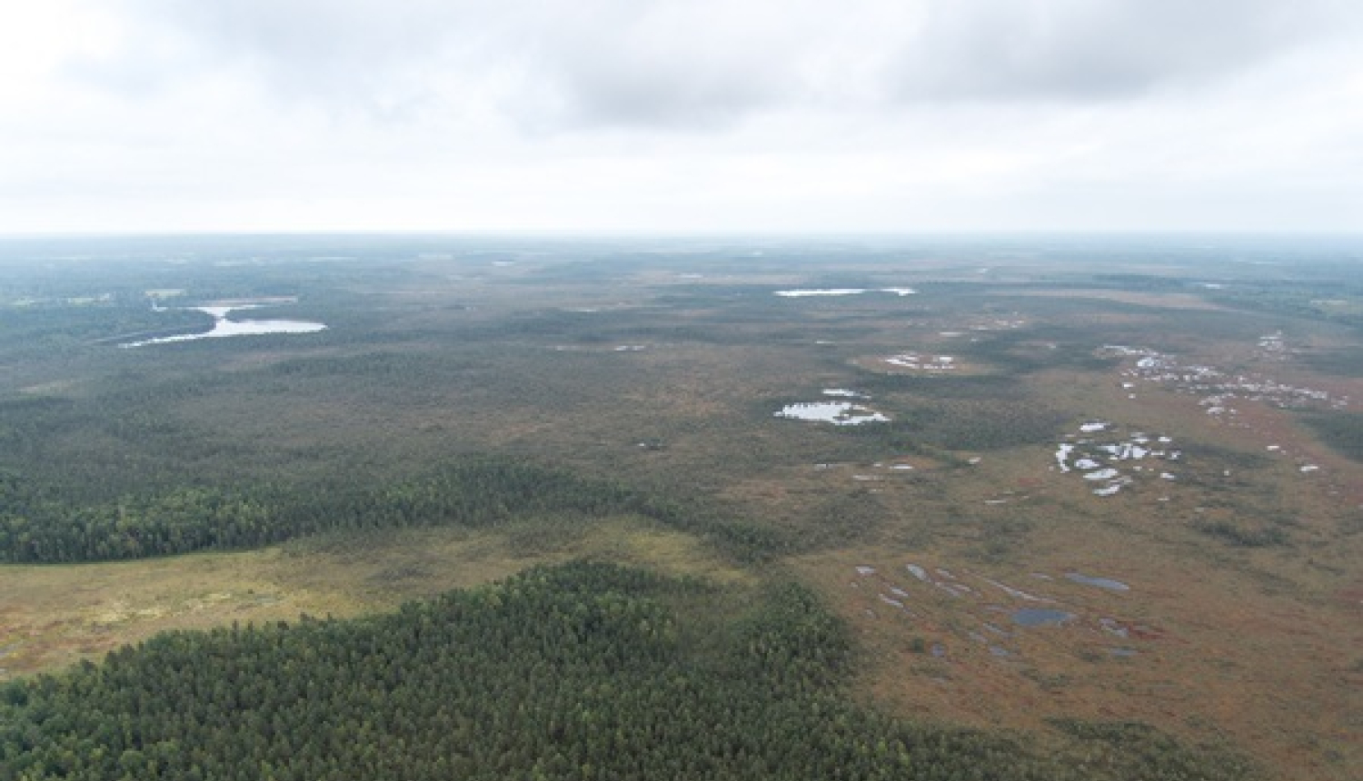 Ugunsdrošībai mežā nepieciešams lielāks finansējums