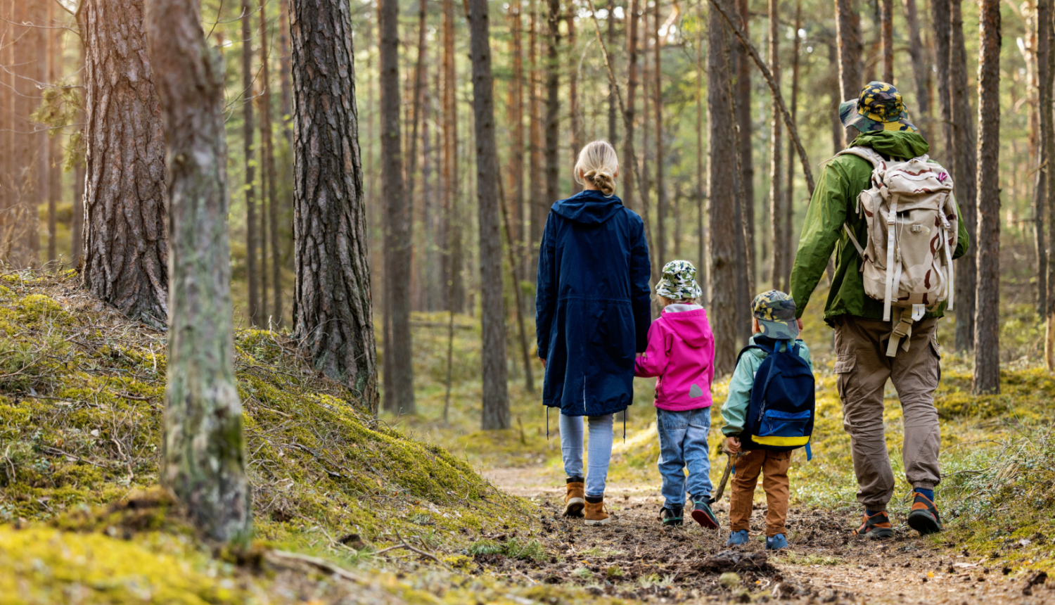 Ģimene - tētis, mamma un divi bērni pastaigājas mežā