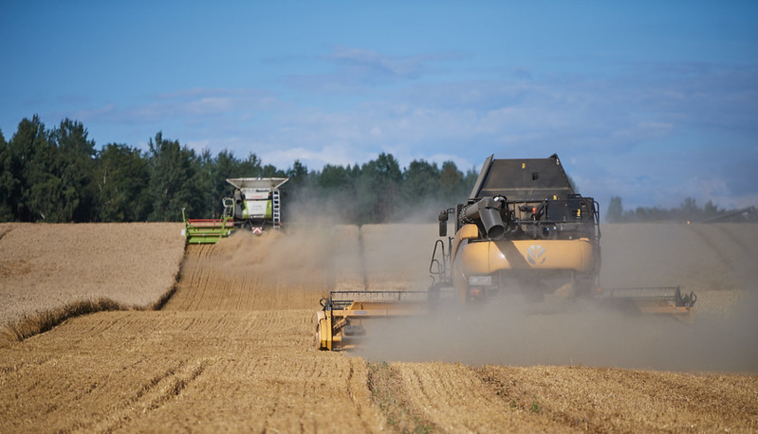 Labības lauks un tehnika