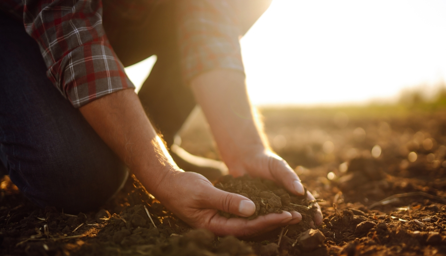 Lauks, vīrieša rokās zeme. 