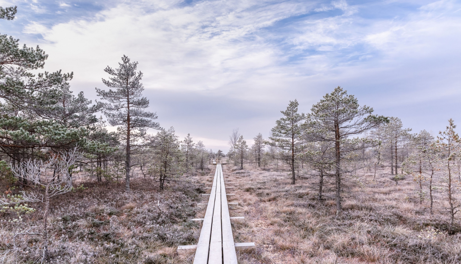 ilustratīvs attēls: dabas taka Latvijā; avots: 123rf.com