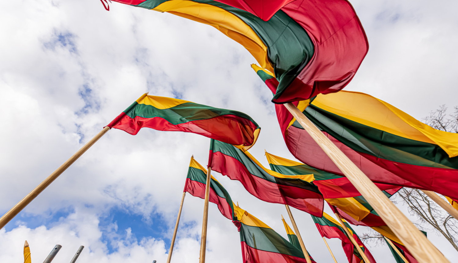 Lietuvas karogi