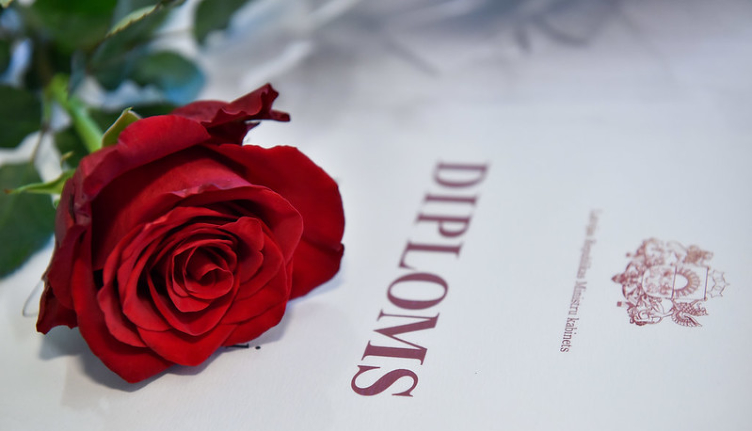 Ministru kabineta Diploms un roze uz tā.