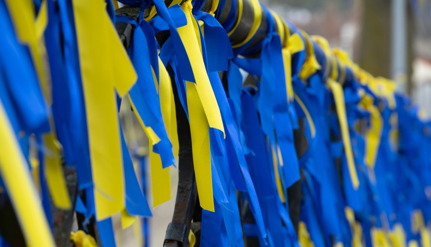 Ukrainas karoga krāsas