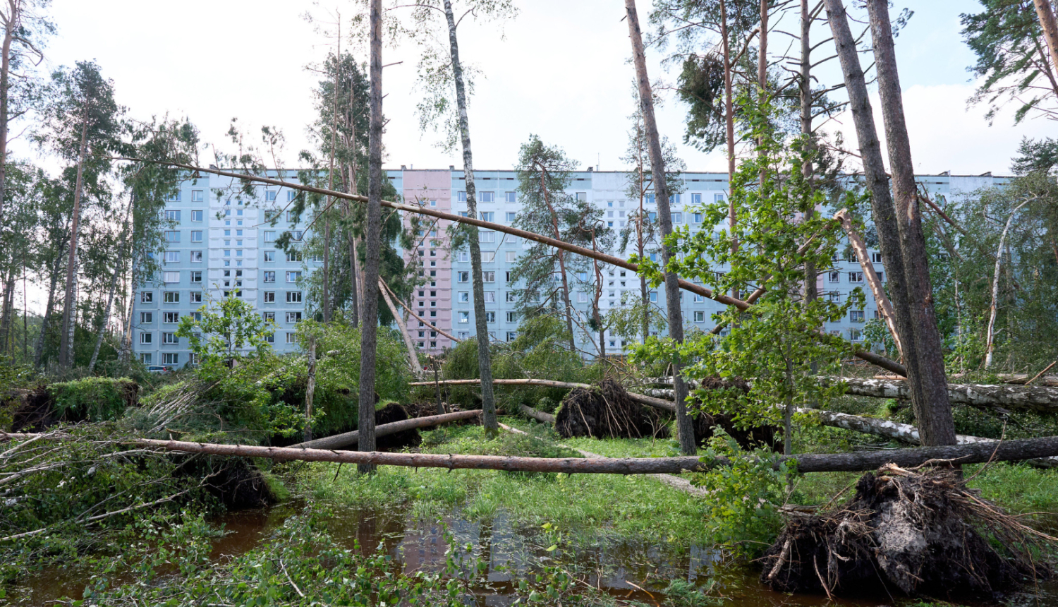 Vētras sekas - nolauzti koki pie daudzdzīvokļu mājas