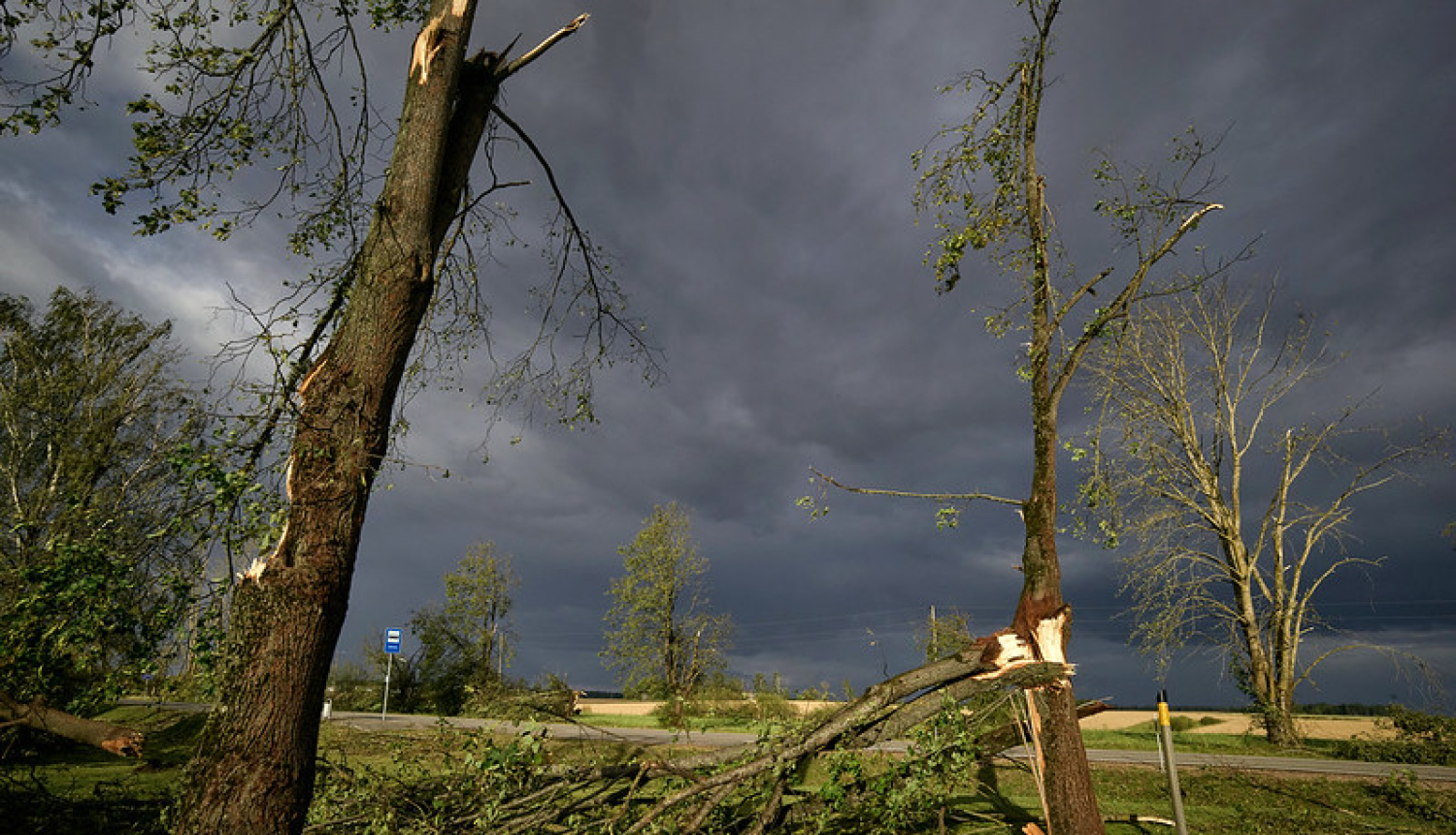 Vētras postījumi Zemgalē