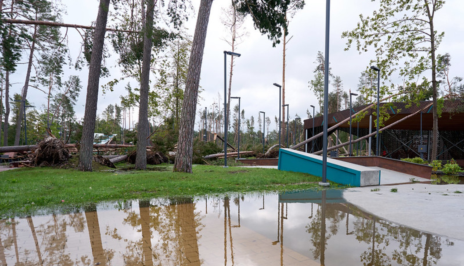 Foto: Vētras postījumi Jūrmalā (izgāzti koki, applūdusi iela)